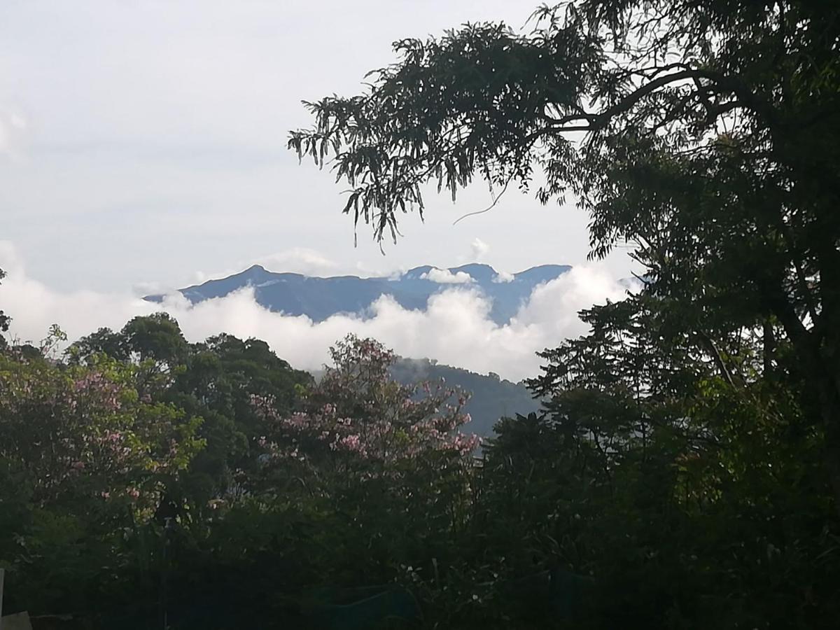 Bed and Breakfast Jungle Tide Канди Экстерьер фото