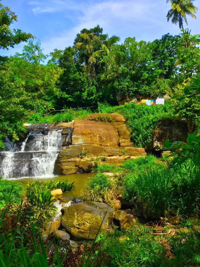 Bed and Breakfast Jungle Tide Канди Экстерьер фото