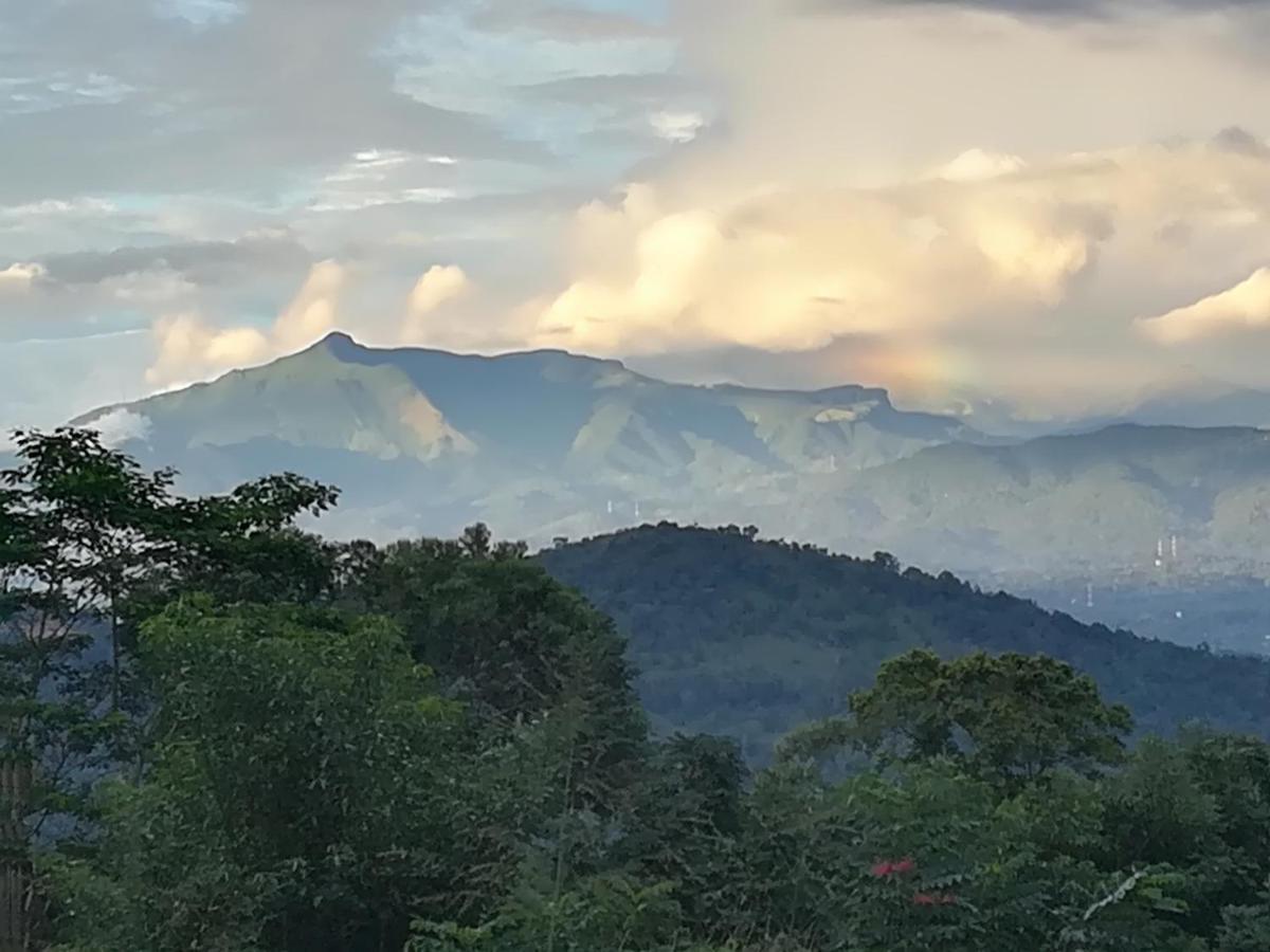 Bed and Breakfast Jungle Tide Канди Экстерьер фото