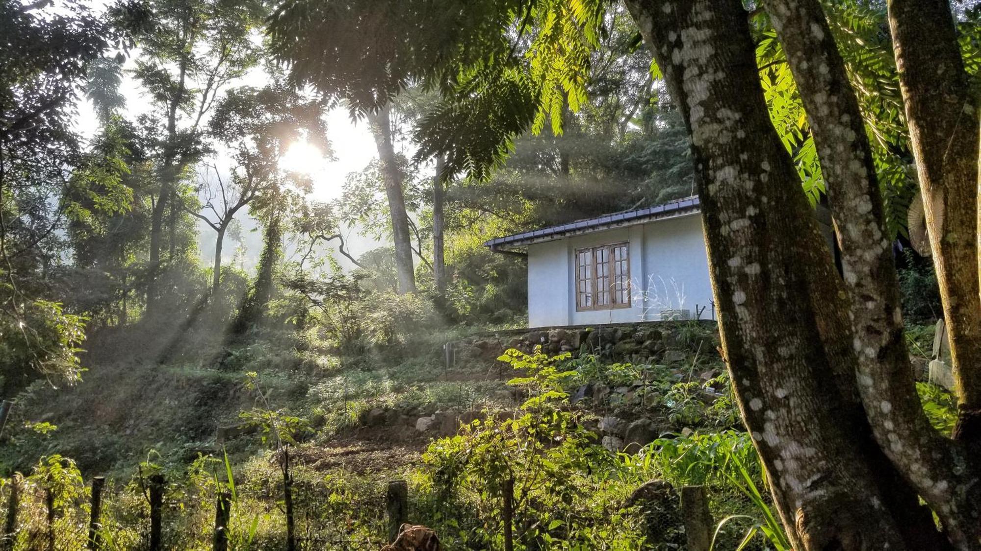 Bed and Breakfast Jungle Tide Канди Экстерьер фото