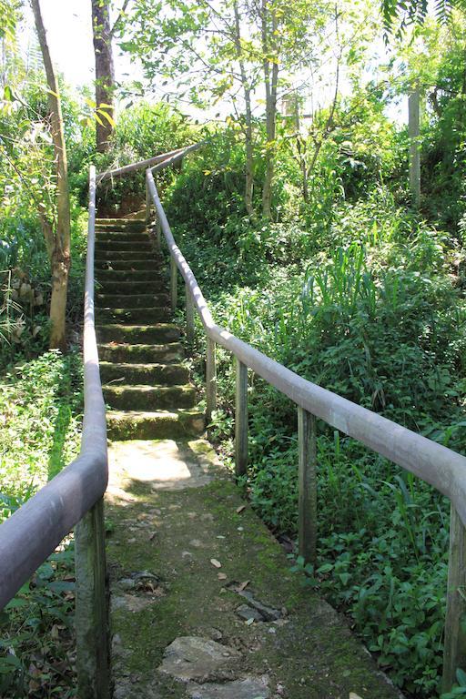 Bed and Breakfast Jungle Tide Канди Экстерьер фото